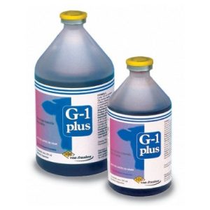 G-1 Plus