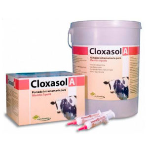 Cloxasol A
