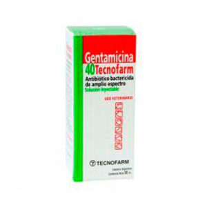 Gentamicina 40 Tecnofarm