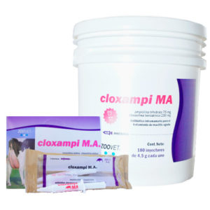 Cloxampi MA