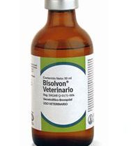 BISOLVON® Inyectable