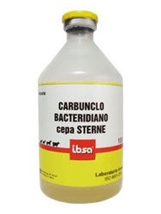CARBUNCLO BACTERIDIANO CEPA STERNE