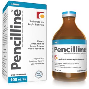 PENCILLINE
