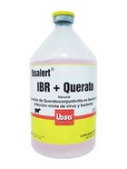 IBSALERT IBR   QUERATO