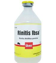 RINITIS IBSA