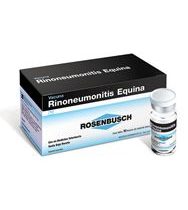 Rinoneumonitis Equina