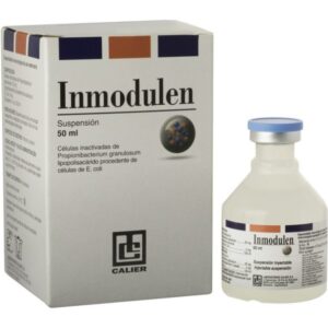 INMODULEN