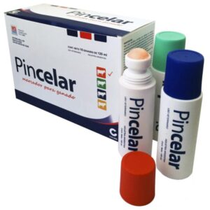 PINCELAR