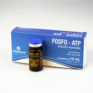 Fosfo – ATP