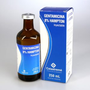 Gentamicina 8% Hampton