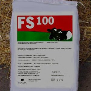 FS 100