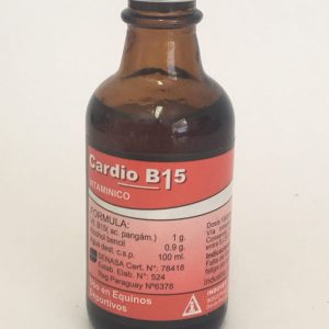 CARDIO-B15