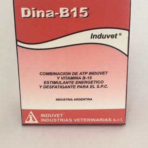 DINA B 15