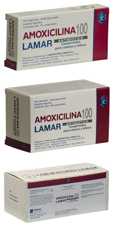AMOXICILINA 100 mg comprimidos – Veterinaria Online