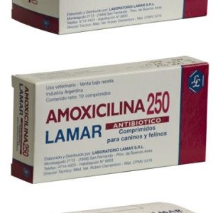AMOXICILINA 250 mg comprimidos