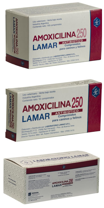 AMOXICILINA 250 mg comprimidos – Veterinaria Online