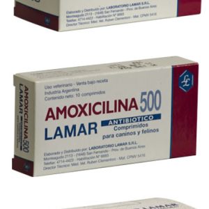 AMOXICILINA 500 mg comprimidos