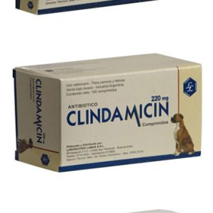 CLINDAMICIN 220 comprimidos