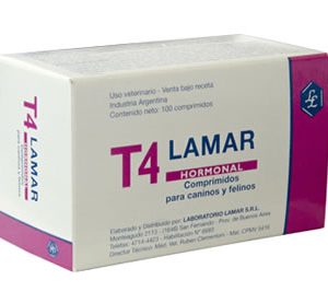 T4 comprimidos