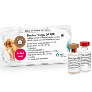 Nobivac Puppy DP Plus