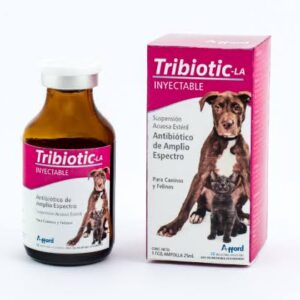 Antibióticos inyectables