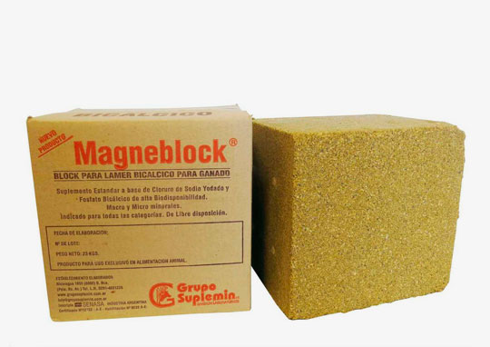MAGNEBLOCK BICALCIO PARA LAMER