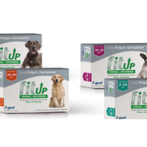 Fit Up Caninos PIPETAS