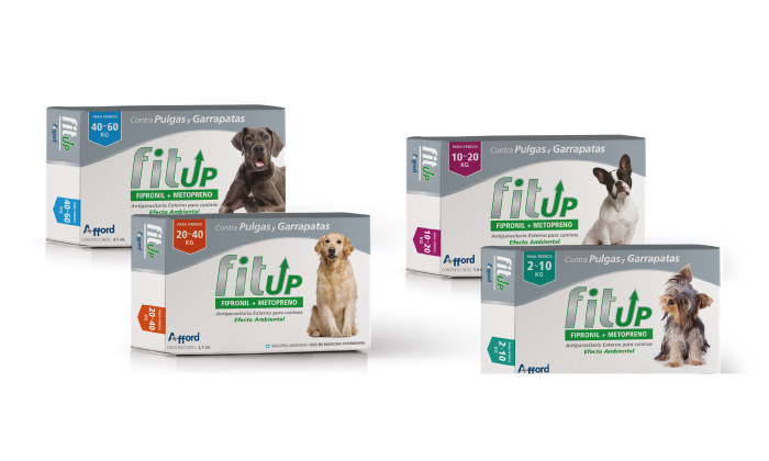 Fit Up Caninos PIPETAS