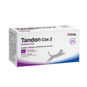 TANDON COX 2 FELINO 4 MG